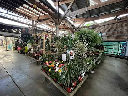 Image de Jardiland Jabrun